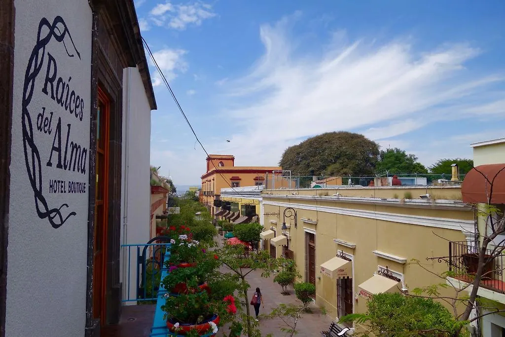 Raices Del Alma Hotel Boutique Tlaquepaque México