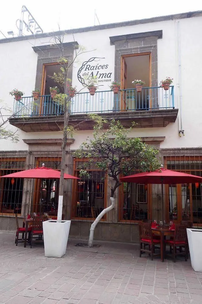 Raices Del Alma Hotel Boutique Tlaquepaque